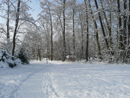 Der verschneite Villette-Park lädt zum Spazieren ein.